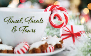 Tinsel Treats and Tours